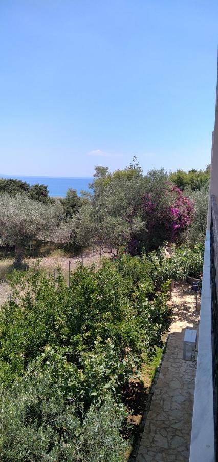 Geranium Villa By The Sea Кинета Екстериор снимка